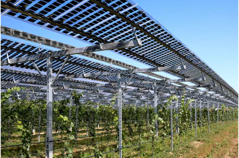 IEA PVPS’ New Report Collates Best Practices For Bifacial PV Tracking Systems