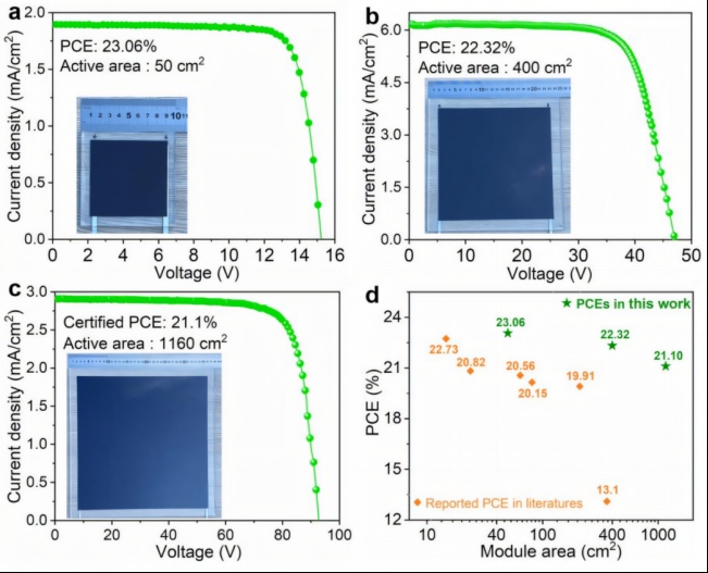 Improving Perovskite Solar Cell Efficiency: Innovative Applications of NFAs Modifiers